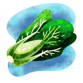 Bok choy vector
