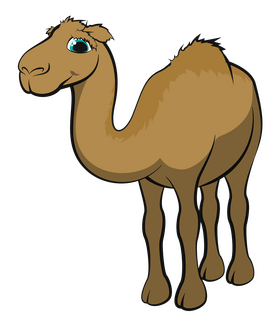 Camel cartoon clipart