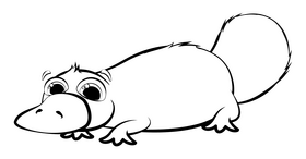 Platypus cartoon black and white clipart