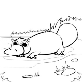 Platypus cartoon black and white vector
