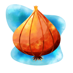 Onion vector