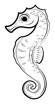 Seahorse cartoon black and white clipart