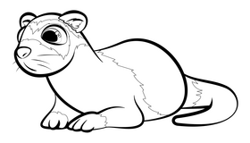 Ferret cartoon black and white clipart
