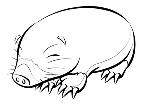 Mole cartoon black and white clipart