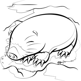 Mole cartoon black and white vector