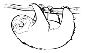 Sloth cartoon black and white clipart