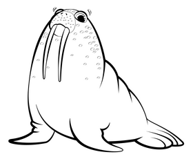 Walrus cartoon black and white clipart