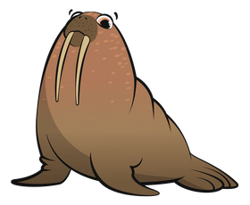 Walrus cartoon clipart