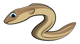 Eel cartoon clipart