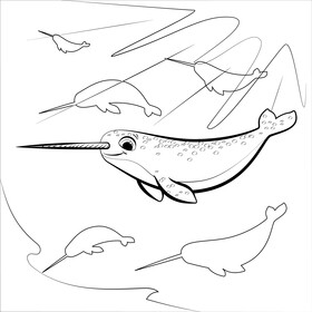 Narwhal cartoon black and white vector