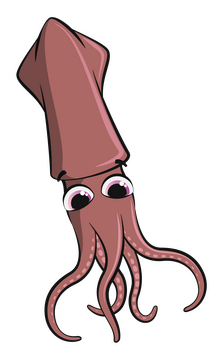 Squid cartoon clipart