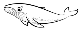 Humpback whale cartoon black and white clipart
