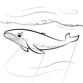 Humpback whale cartoon black and white vector