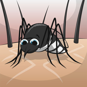 Mosquito cartoon vector