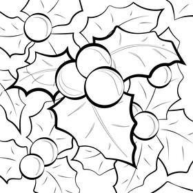 Holly berries black and white vector