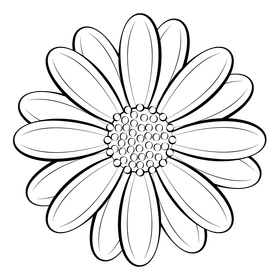 African daisy black and white clipart