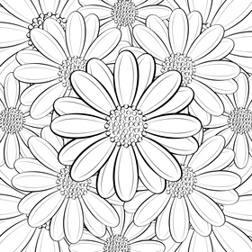 African daisy black and white vector