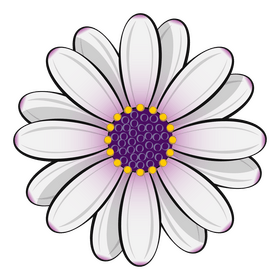 African daisy clipart