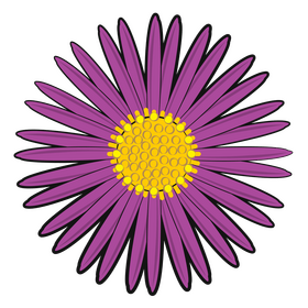Aster flower clipart