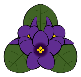 African violet clipart