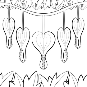 Bleeding heart flower black and white vector