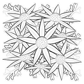 Flannel flower black and white vector