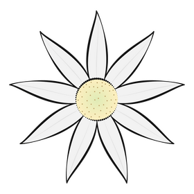 Flannel flower clipart