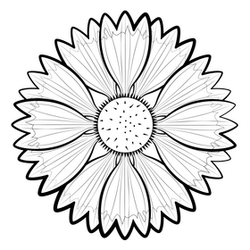 Blanket flower black and white clipart