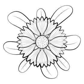 Blanket flower black and white vector