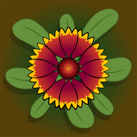 Blanket flower vector