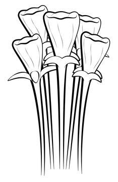 Golden bells flower black and white clipart