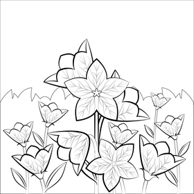 Balloon flower black and white vector