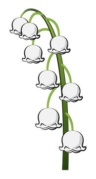Lily of the valley clipart