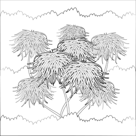 Floss flower black and white vector