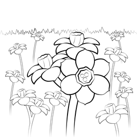 Jonquil flower black and white vector