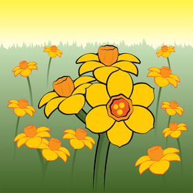 Jonquil flower vector
