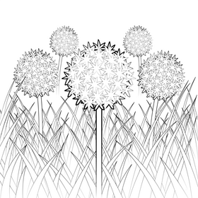 Ornamental onion black and white vector