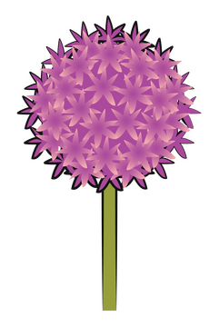 Ornamental onion clipart