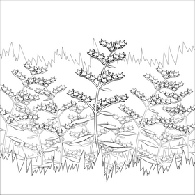 Goldenrod flower black and white vector