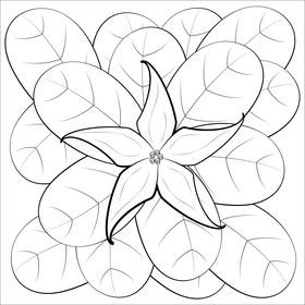 Jaborosa flower black and white vector