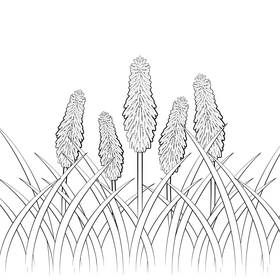 Flowers free black and white vector free download