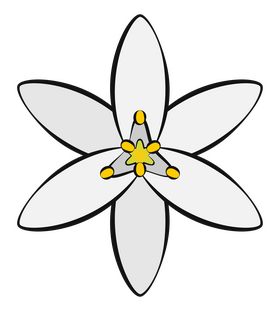 Star of bethlehem clipart