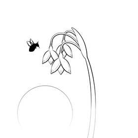 Snowflake flower black and white vector