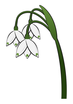 Snowflake flower clipart