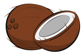Coconut fruit clipart