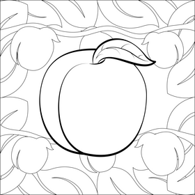 Peach fruit drawing black and white vector