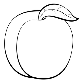 Peach fruit outline black and white clipart
