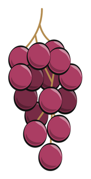 Grapes fruit clipart