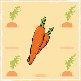 Carrot vegetable vector
