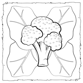 Broccoli vegetable black and white vector